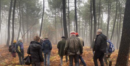Chantier test - Groupement de Développement Forestiers du Gard