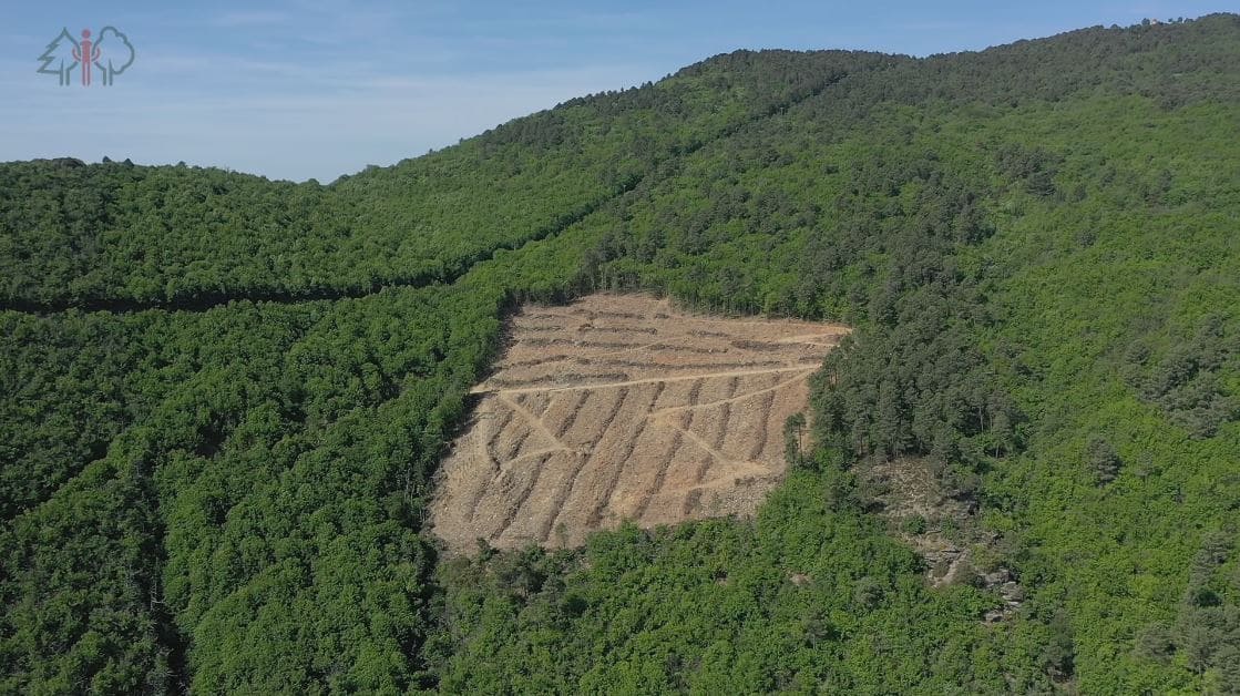 Chantier test - Groupement de développement forestier ru Gard