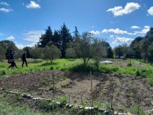 Jardins partagés Corconne